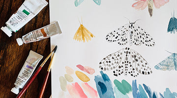 Artist Collaboration: Emilie Simpson & Watercolor Moths
