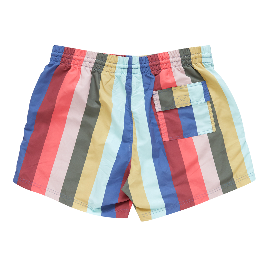 Mens Swim Trunk Multi Wide Stripe Pink Chicken