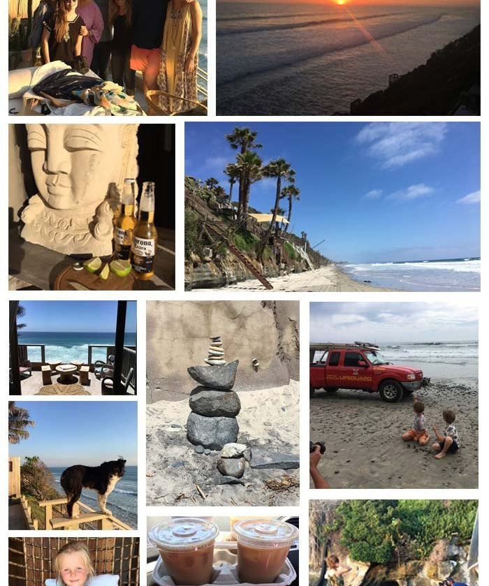 Pink Chicken | Blog Love for a New City