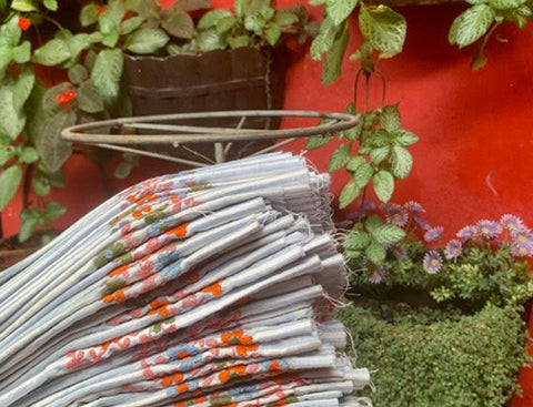 allegra luca launch image