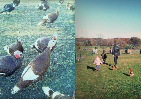 fall means a trip to stone barns