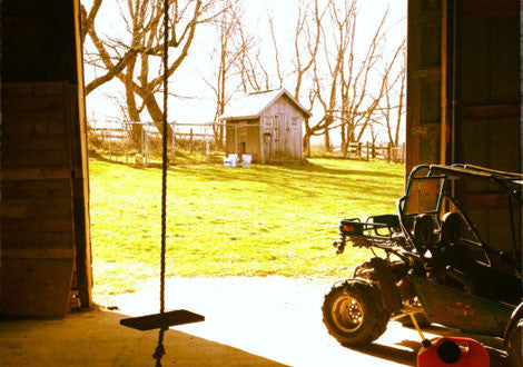 Giving Thanks for Thanksgiving