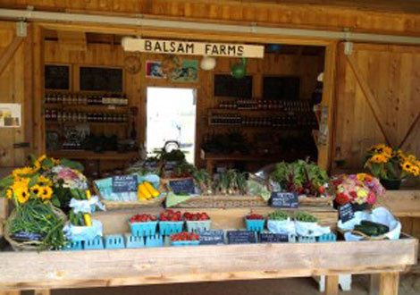 spend a summer day with us on balsam farms...