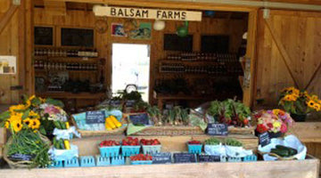 spend a summer day with us on balsam farms...