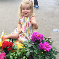 milkshake dress francis moon