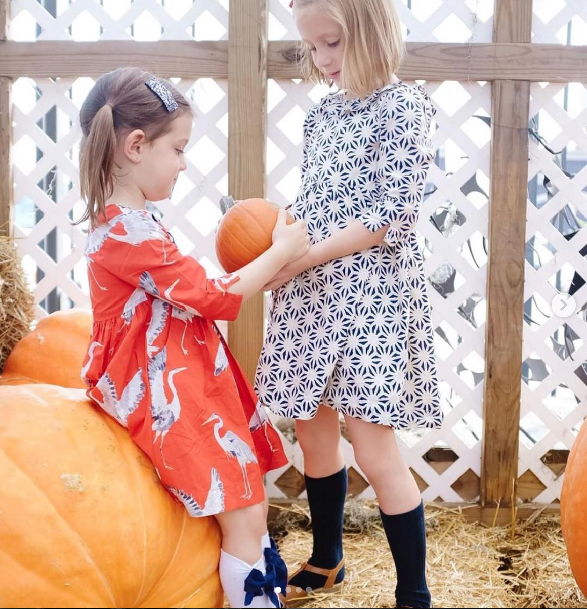 Pink Chicken customers standing in a pumpkin patch