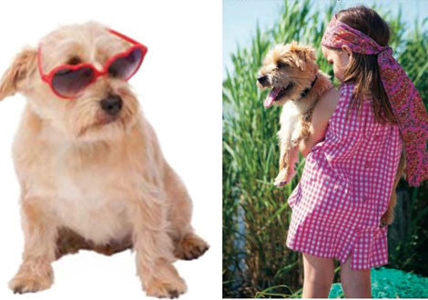 top 10 reasons we love clyde fraser