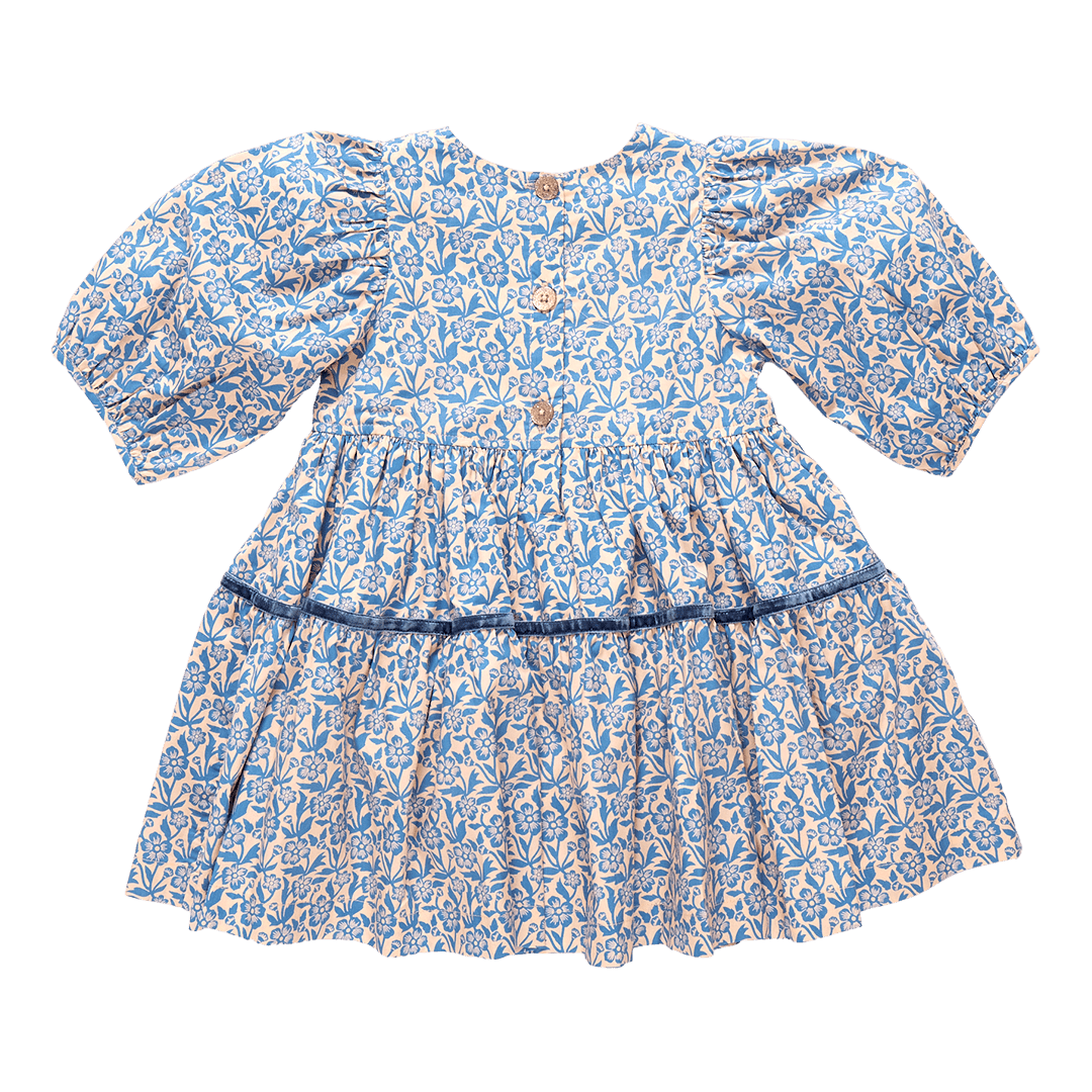 Girls Maribelle Dress - Blue Climbing Floral | Pink Chicken