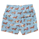 Baby Boys Swim Trunk - Swim Dachshunds
