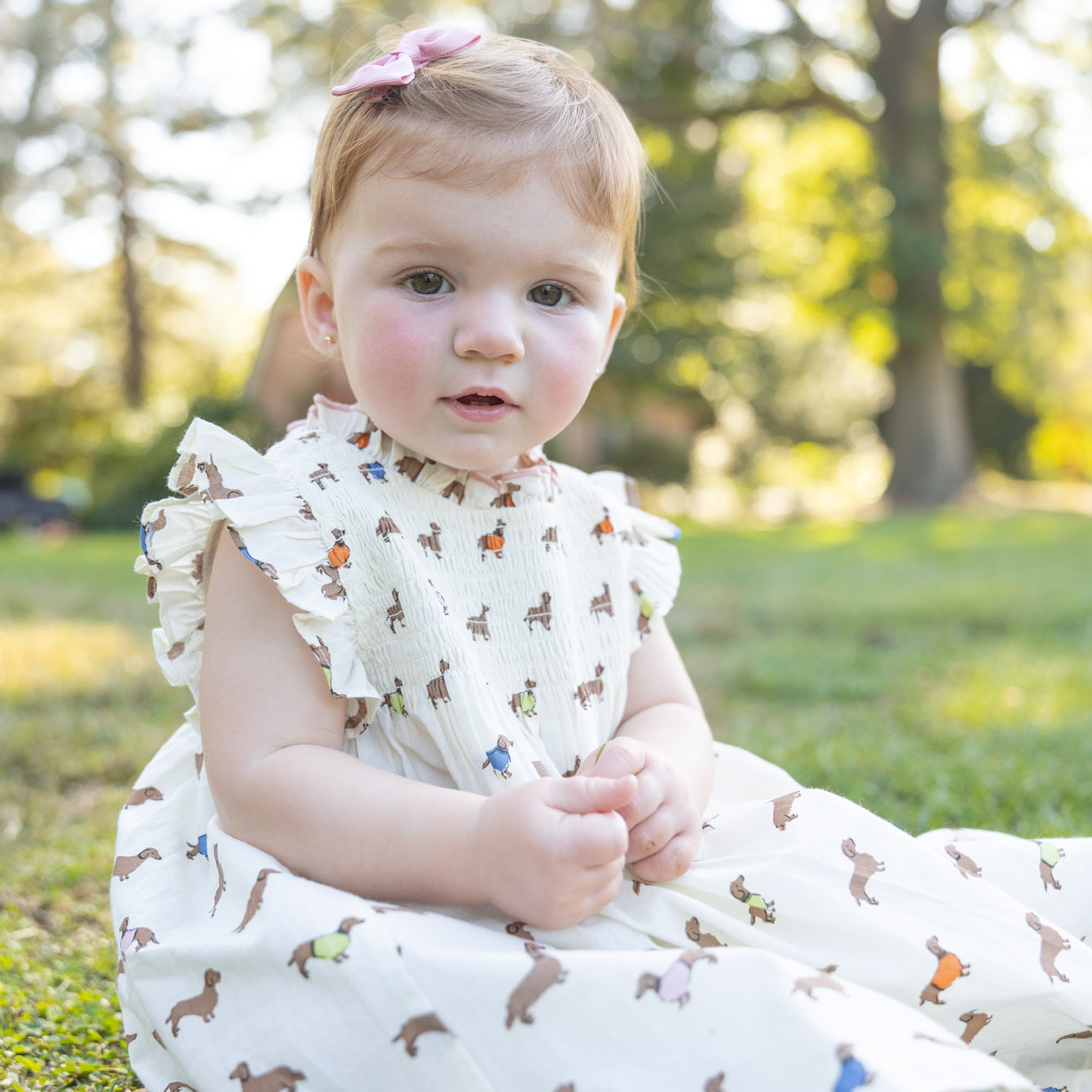 Baby Girls Stevie Dress | Dachshunds in Sweaters | 12/18M Baby Girls Stevie Dress | Dachshunds in Sweaters | 12/18M