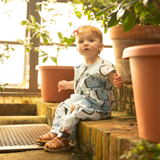 Baby Girls Alexandra Jumper - Blue Vintage Butterflies