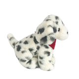 Smudge Dalmatian