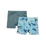Ombre Dinos Boxer Pack