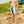Boys Swim Trunk - Ocean Stripe