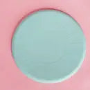 Sunny Coaster Frisbee - Mint