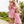 Womens Short Indira Dress - Pink Garden