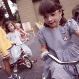 Picnic Dress - Cocoa Gingham