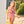 Womens Courtney Swim Bottom - Red Stripe