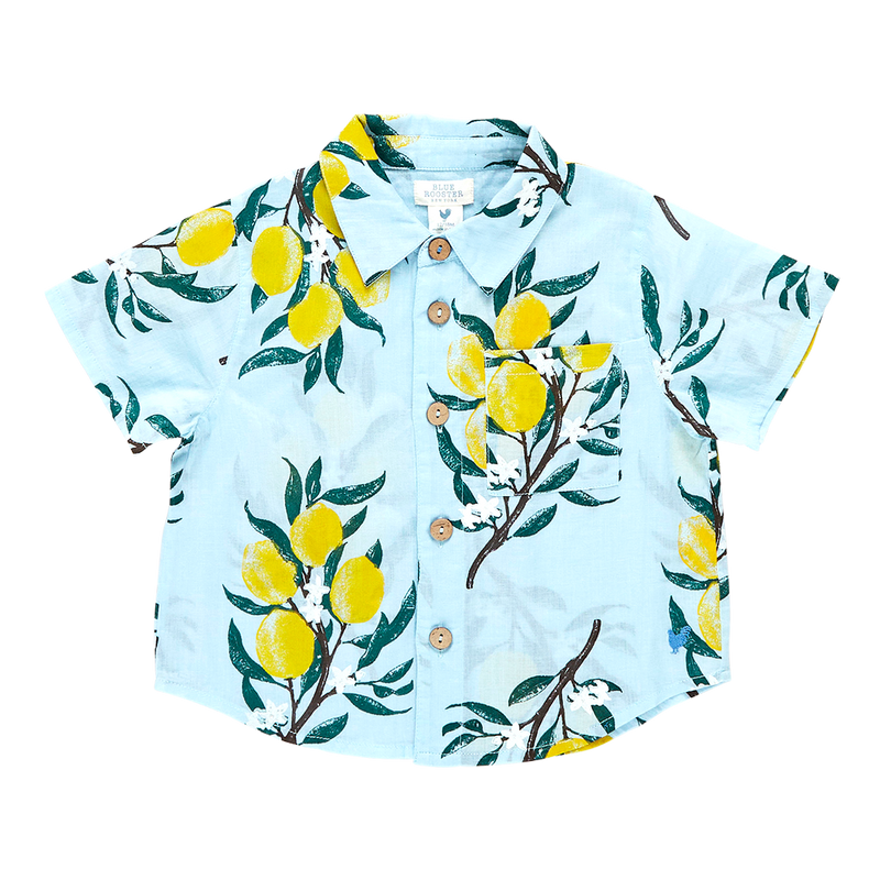 Baby Boys Jack Shirt - Lemon Branch