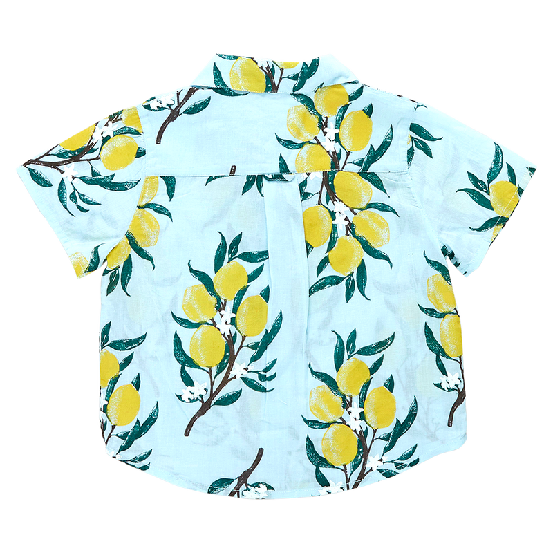 Boys Jack Shirt - Lemon Branch