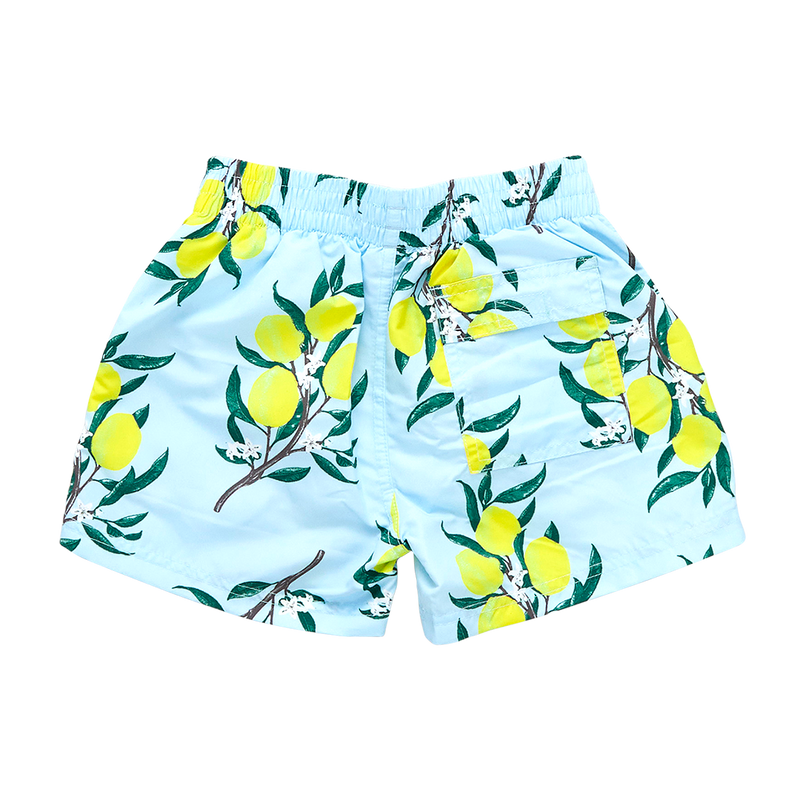 Boys Swim Trunks - Lemon Branch