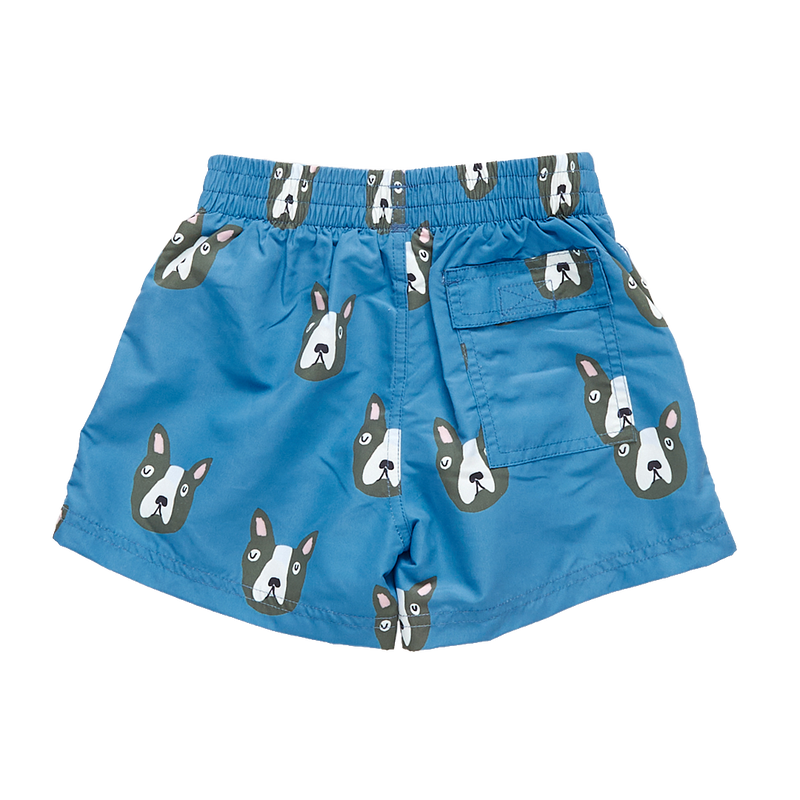 Boys Swim Trunk - Blue Boston Terrier