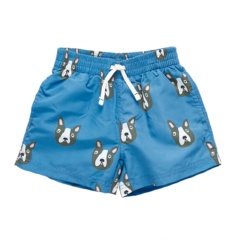 Boys Swim Trunk - Blue Boston Terrier